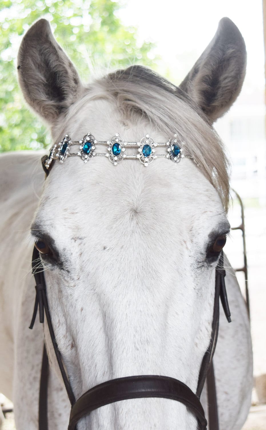 Beaded Horse Browbands Teal and Silver Crystal Exquisite