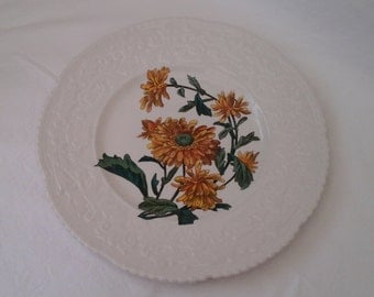 Royal Cauldon Bristol Ironstone plate in "Haywood" Crysanthemum