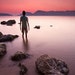 Francesco Gola