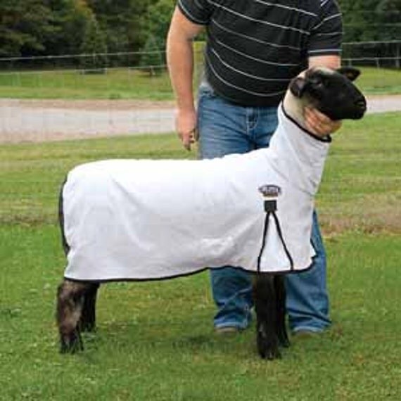 Sheep Blanket Cover Livestock Show Award by WesternSkiesShow