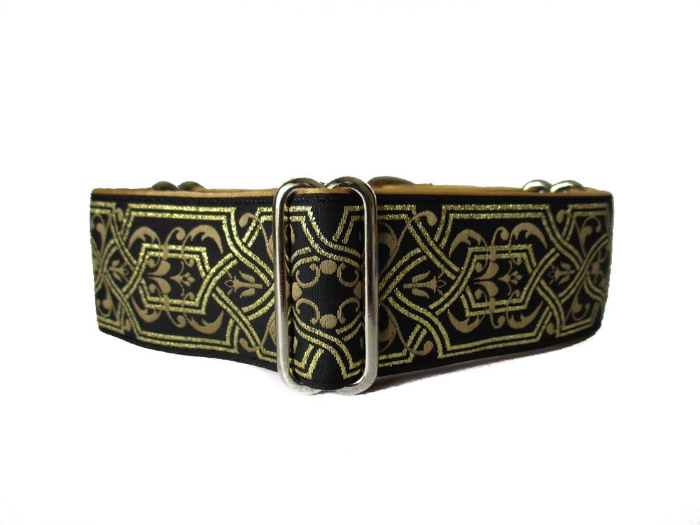 Gold Martingale Collar 1.5 Inch Dog Collar Gold Dog Collar