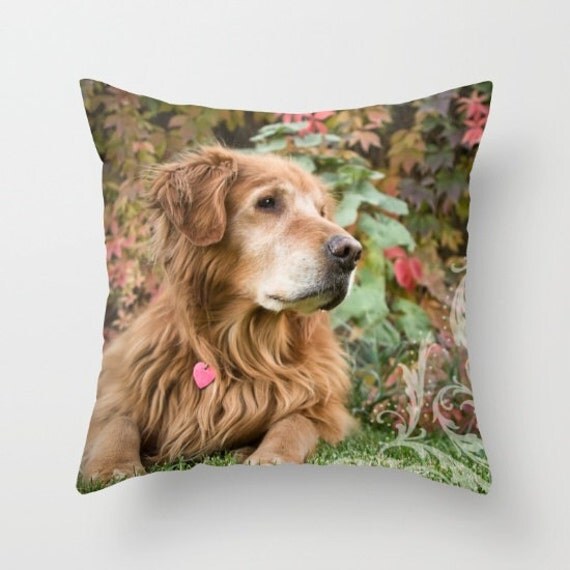 golden retriever cushion