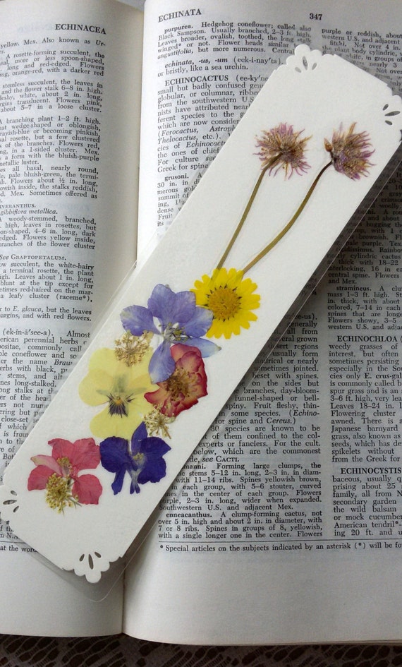 PRESSED FLOWER BOOKMARK Botanical Art Collage Preserved