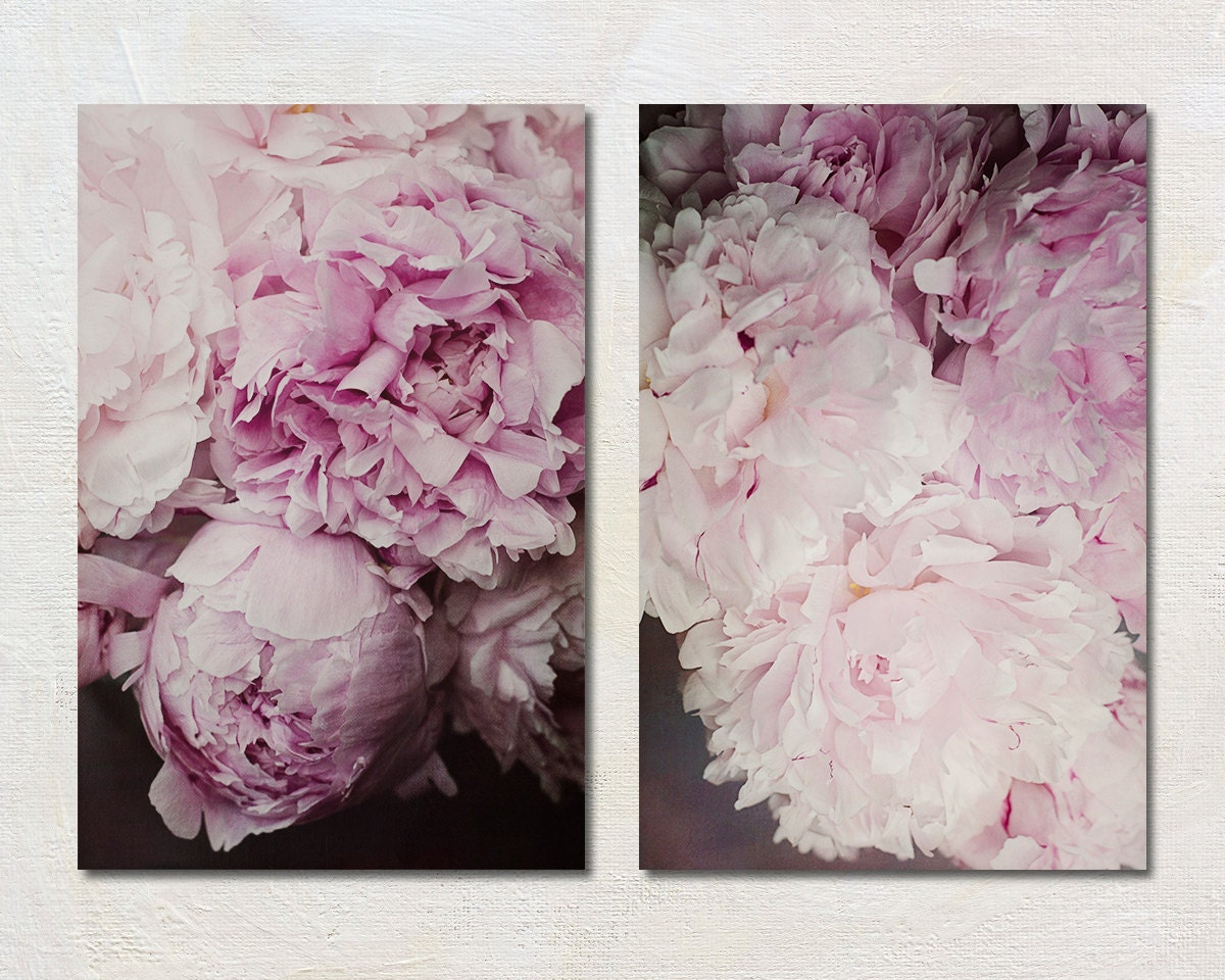 Two Peony Canvas Set Pink Flower Wall Art Shabby Chic Home