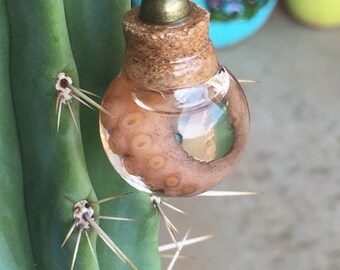 Ethical Octopus tentacle wet preserved taxidermy pendant necklace ooak unique creepy weird