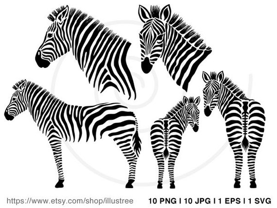 zebra silhouette clip art - photo #8