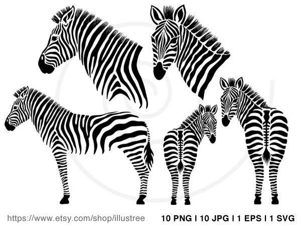 zebra cardstudio clipart - photo #5