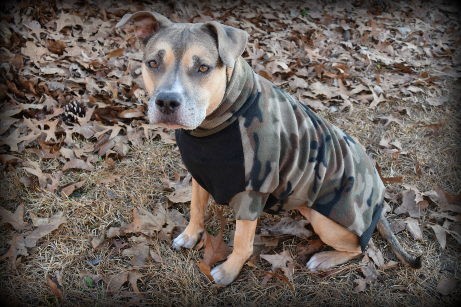 M/L DOG SWEATER /fleece /pitbull/ coat/large breed/male/ camo