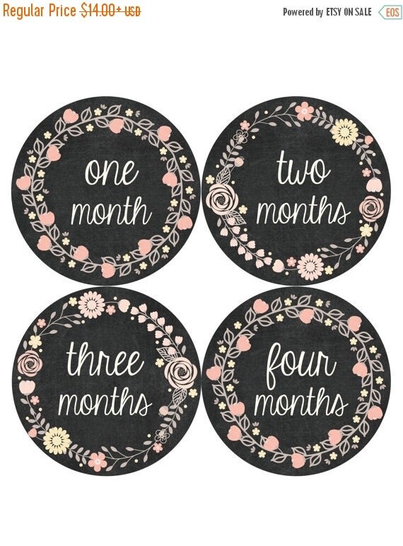 Monthly Baby Stickers Baby Month Stickers Baby by MonthsinMotion