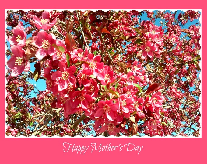 Handmade for MOTHERS DAY, Red Prairie Fire Floral Photography, Blank Inside Photo Stationary, Printed White Text, Coordinating Envelope
