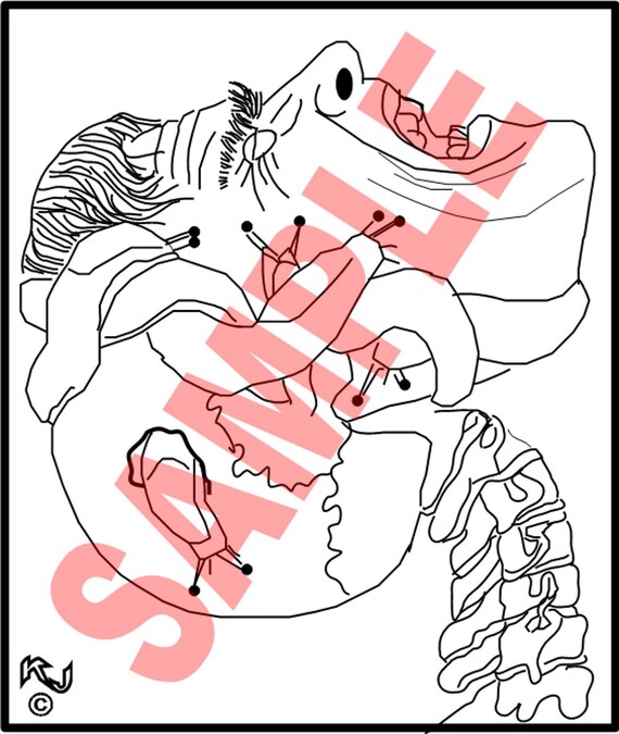 science earthworms coloring pages - photo #25