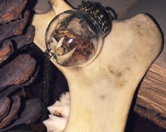 Rabbit Claws - Bone Jewelry