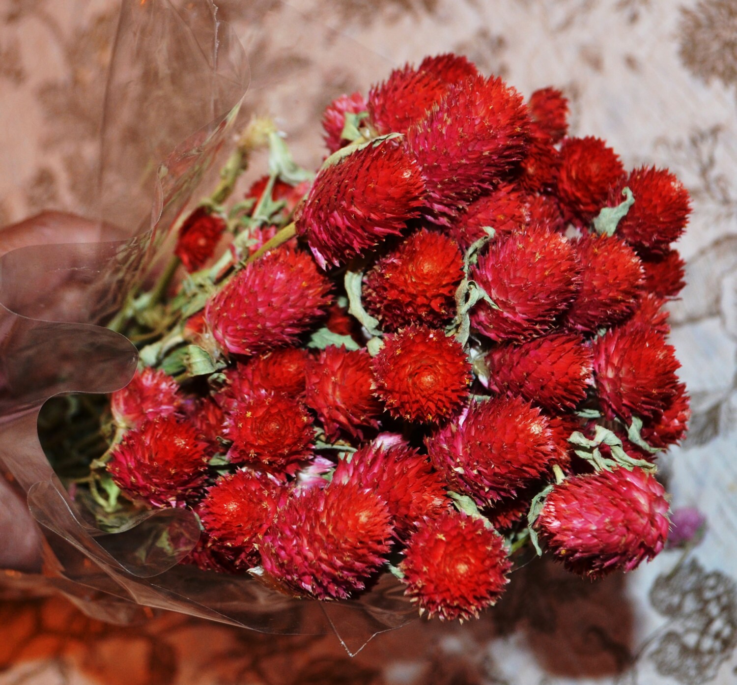Red Globe Amaranth Globe amaranth Dried globe amaranth