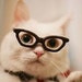 JFUFurrySales