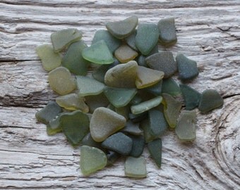 Tiny Olive Green Sea Glass Bulk Beach Glass for Sale