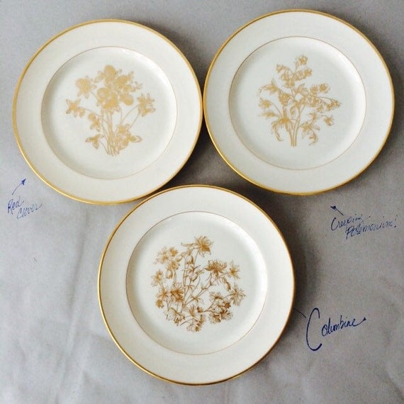 Vintage Lenox China Plates T372 pattern gold by ShopTheHyphenate