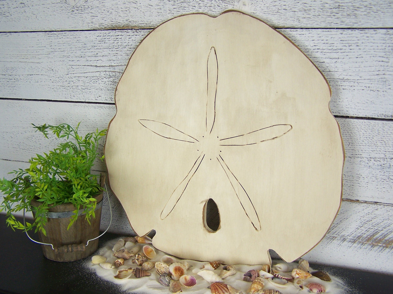 Sand Dollar Decor Sand Dollar Wall Art Wooden Sand Dollar Sign