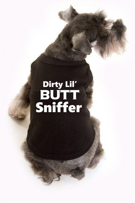 Juniors to for dogs wear funny t work shirts outlet brand names