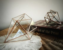 Artículos únicos para terrarium container | Etsy