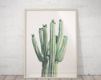 Cactus Art Print, Cacti Photography, Mexican Art, Neutral Print, Desert Print, Pastel Green Decor, Arizona Cactus, Aztec Art, Neutral Decor