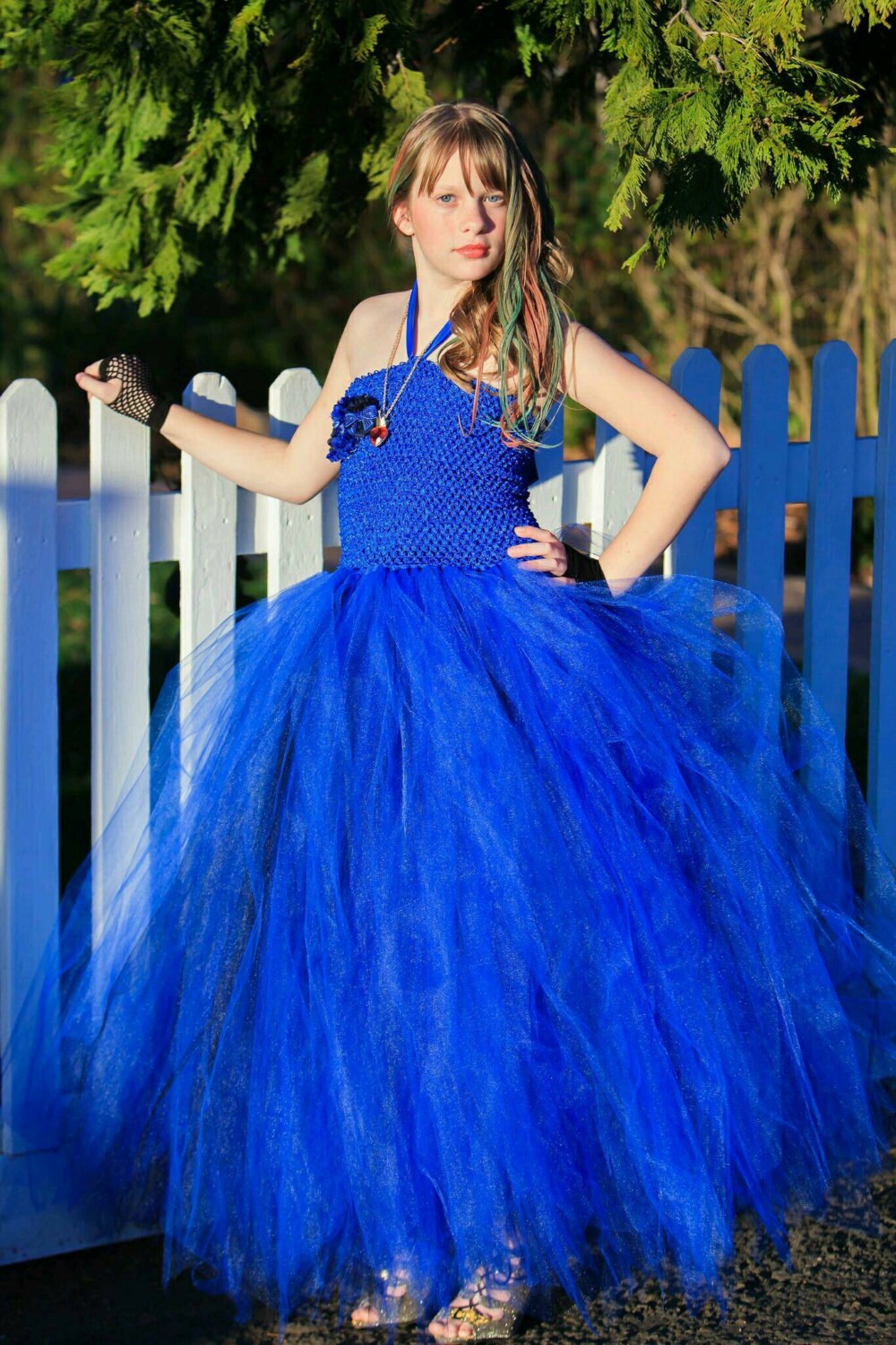 Descendants Evie costume tutu dress Evie Blue tutu dress