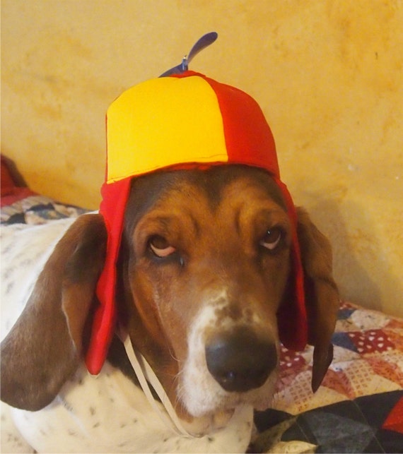 Dog's Propeller Beanie