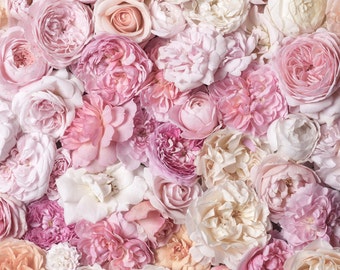 Rose Wall Decor flower photography the french flower market roses Rose Wall Decor flower photography the french flower market roses