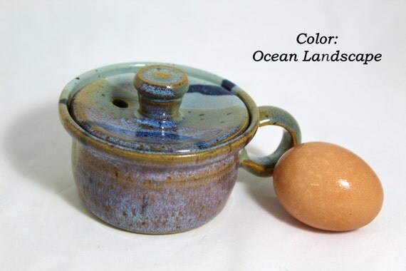 Quick Egg Poacher