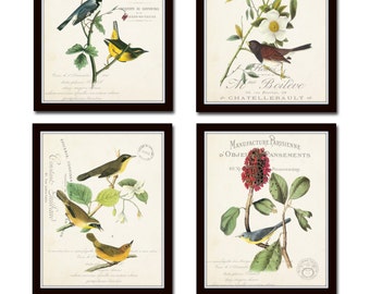 Audubon Bird Prints French Aviary Collage Print Set No 3 Botanical Audubon Bird Prints French Aviary Collage Print Set No 3 Botanical