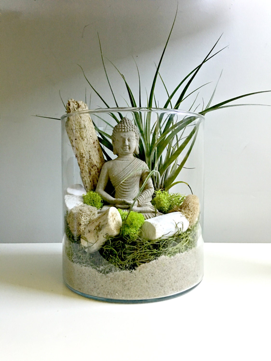 Large air plant terrarium glass vase Living decor DIY kit