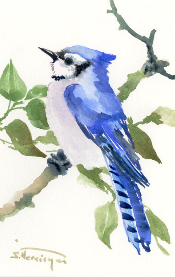 Blue Jay one of a kind original watercolor painting bird art