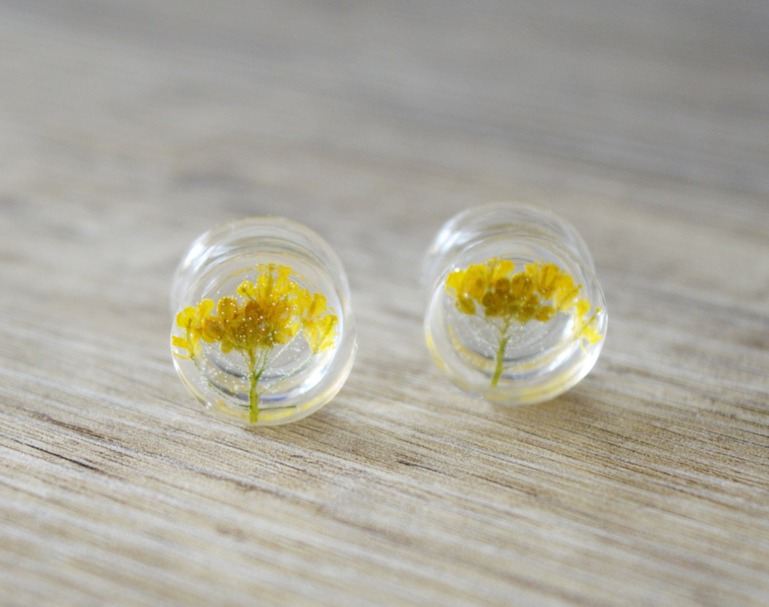 real flower plugs dried flower plugs 9/16 gauges 14mm plugs