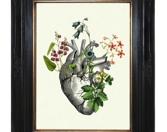 Flowers growing on Anatomical Heart II Love - Victorian Steampunk art print Gothic Morbid