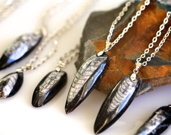Fossil Jewellery Orthoceras Fossil on Long Silver Tone Chain Necklace Gift Nature Natural Jewellery Eco Cephalopod Fossil Necklace