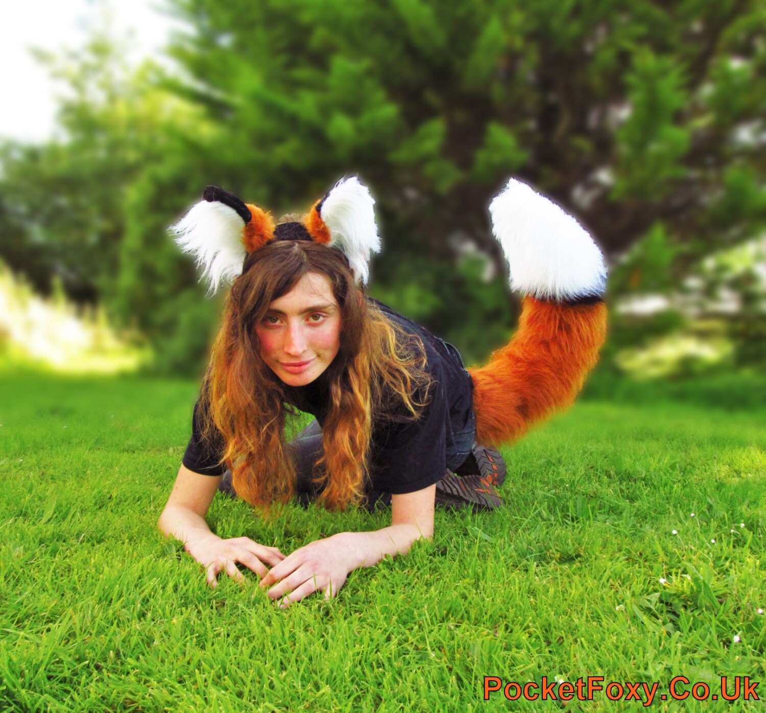 perkyfox perkyfox