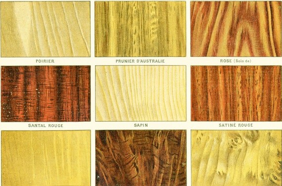 Items Similar To 1897 Antique Wood Chart Wood Grain Print Cabinet 