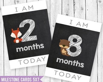 Animal Baby Milestone Cards 5x7, Baby Month Cards, Baby Photo Cards, boy Milestone Card, Baby Shower Gift, Newborn Gift, BabyGift, PhotoProp
