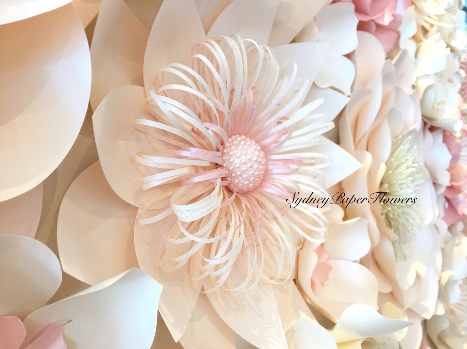 Paper flower wall TO HIRE in Sydney 24 x 25 by SydneyPaperFlowers