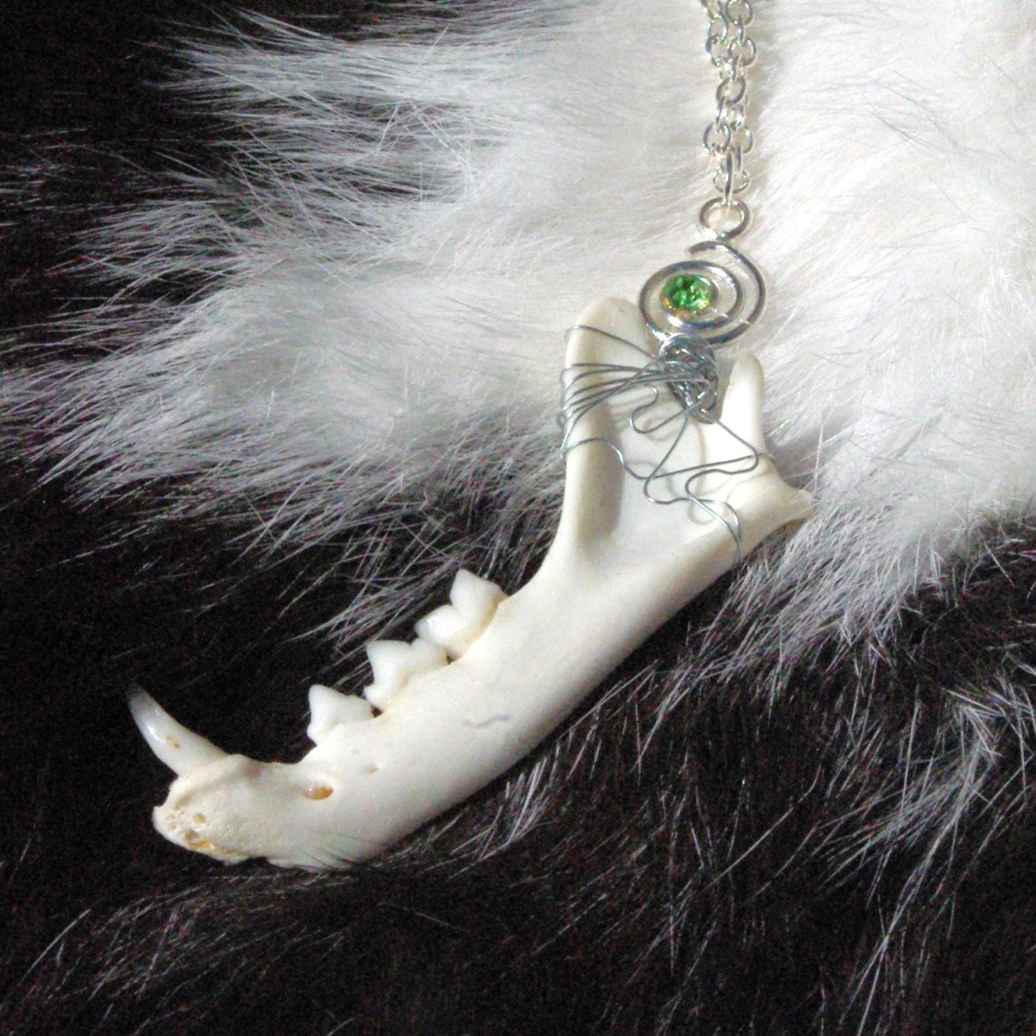 Real Cat Mandible jaw Bone Necklace Real Bone by ReiligDesigns