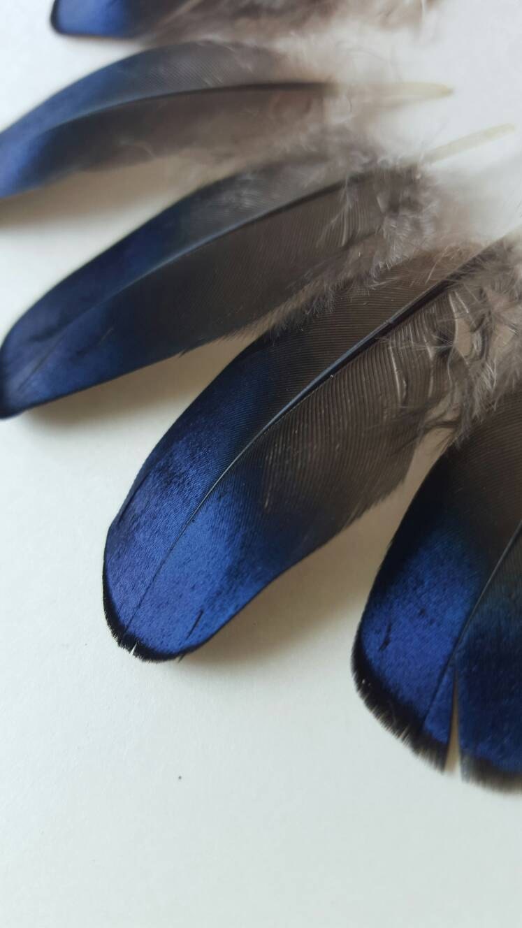 WILD NATURAL Wood Duck Drake wing feathers small 1doz x12