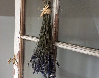 Dried Lavender Bunch