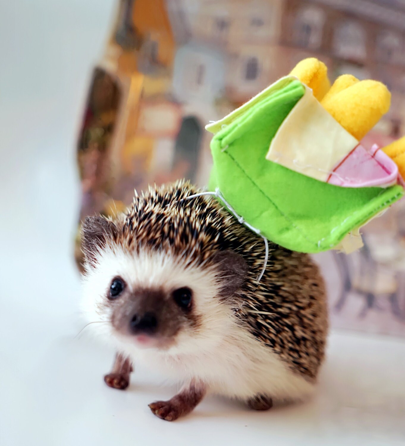 French Fries Costumes Guinea Pig Costume Hedgehog Costumes by