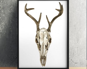 Deer Skull Print | Etsy