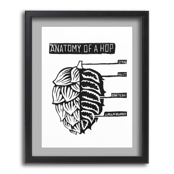 Anatomy of a Hop