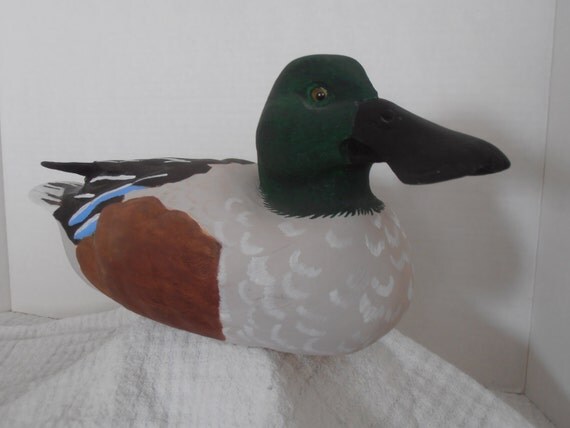 Northern Shoveler Handcarved Duck Decoy