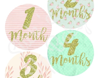 Monthly Baby Stickers - Baby Age Stickers - Baby Girl - Shabby Chic - Baby Photo Prop- Baby Milestone Stickers - Baby Shower Gift