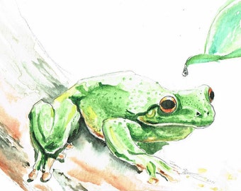 Green tree frog | Etsy