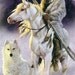 SilverRainHorse