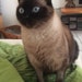Rosalba