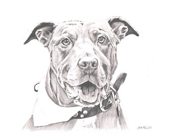 Unique pit bull drawing related items | Etsy